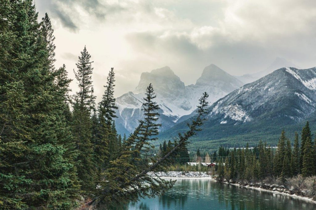 Scenic view of a river flowing through a forest with mountains in the background.