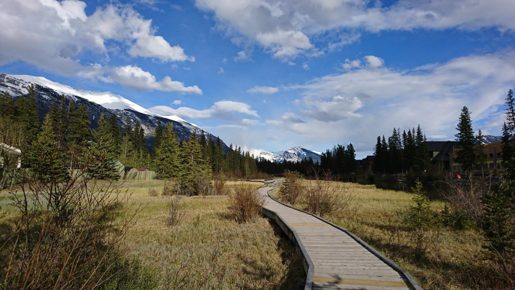 Airbnb dynamic pricing